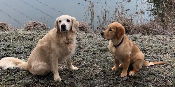 Polly und Lila am See